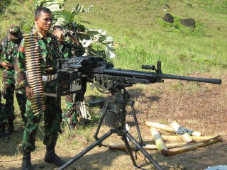 Indonesian troops take aim at highland village