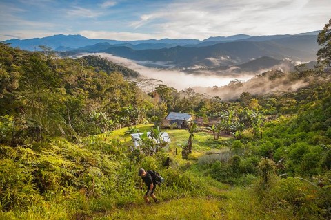 The Kokoda trail is set in a dramatic landscape in Southern Papua New Guinea where Australian soldiers fought alongside Papuans to liberate New Guinea during the second world war 
