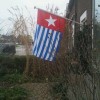 Photos from global day of action for West Papua photo 10