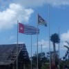 Photos from the Global Flag Raising for West Papua photo 186