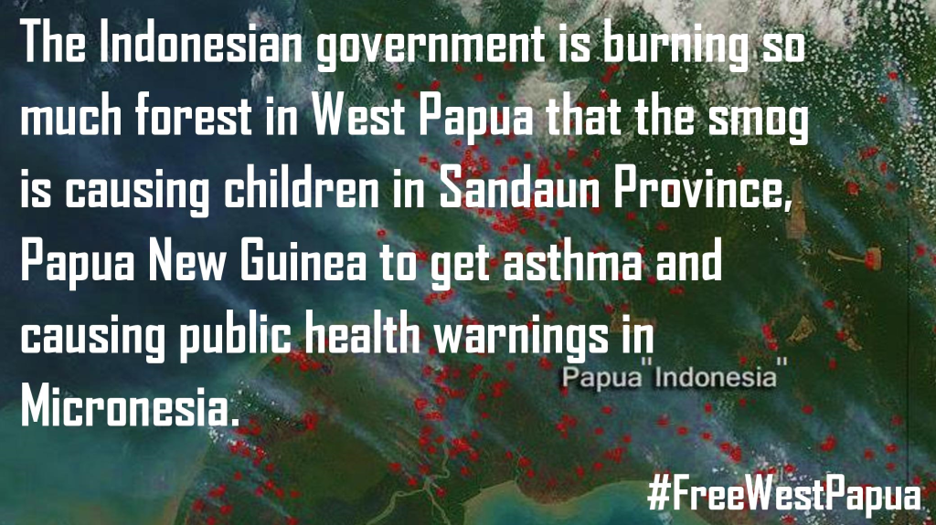 Indonesia is burning the forests of New Guinea