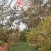 Photos from the Global Flag Raising for West Papua photo 66