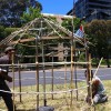 Photos from the Global Flag Raising for West Papua photo 61