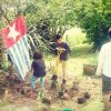 Photos from the Global Flag Raising for West Papua. 1st December 2016 photo 9