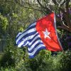 Photos from the Global Flag Raising for West Papua. 1st December 2016 photo 45