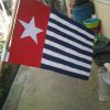 Photos and thanks after Global Flag Raising for West Papua! photo 87