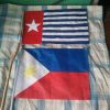 Photos and thanks after Global Flag Raising for West Papua! photo 88