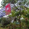 Photos and thanks after Global Flag Raising for West Papua! photo 63