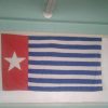 Photos and thanks after Global Flag Raising for West Papua! photo 152